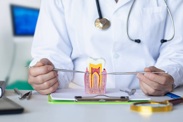 Best Broken Tooth Emergency  in Princess Anne, MD